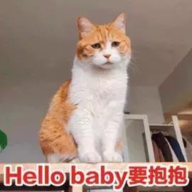 世界杯最土味的话语,关于欧洲杯的土情话