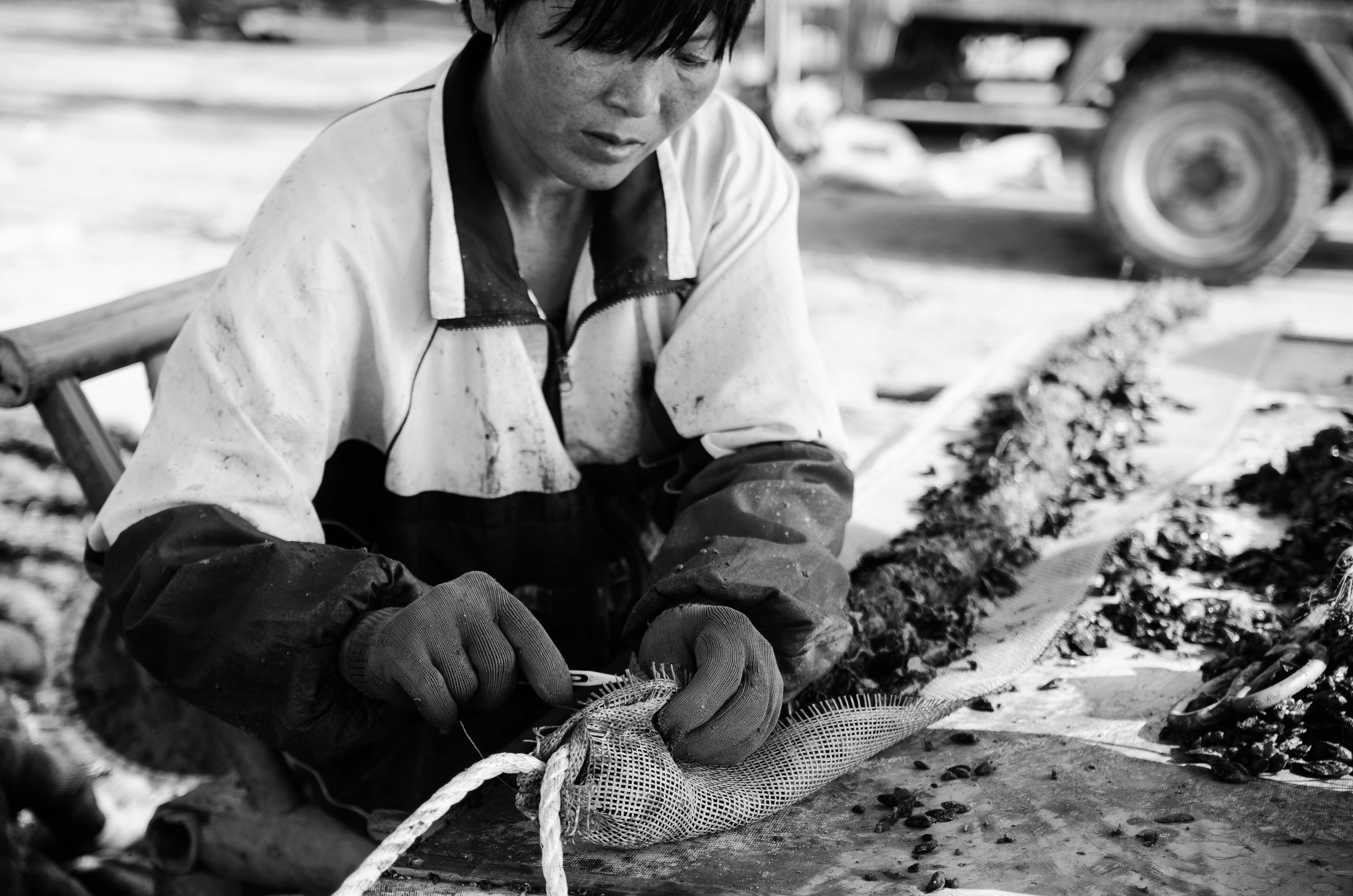 嵊山岛和枸杞岛住宿哪个好,嵊山中国最东岛屿