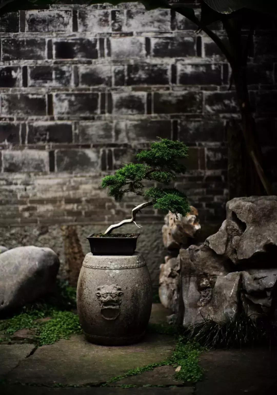 心若无物万般取舍皆自在,心若平和万般轻松自在