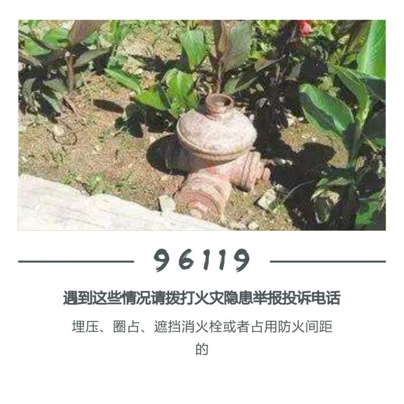 96119官方给出的受理范围,96119和119的区别你知道吗