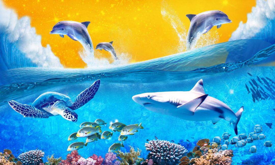 万人节龙虾广场,万人节龙虾节视频