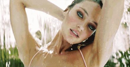 熊猫不是猫原文,熊猫不是猫原版