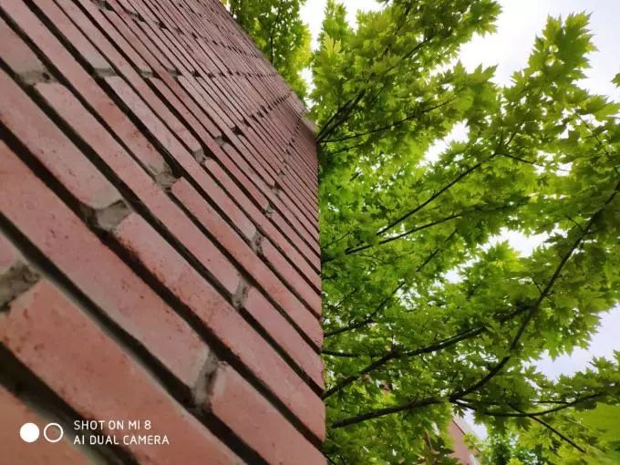 手机测评小米8系列怎么样啊,小米8手机优缺点深度解析