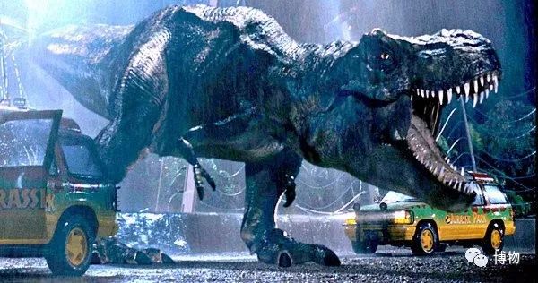 特暴龙为什么是恐龙最强的,暴龙跟霸王龙有多像