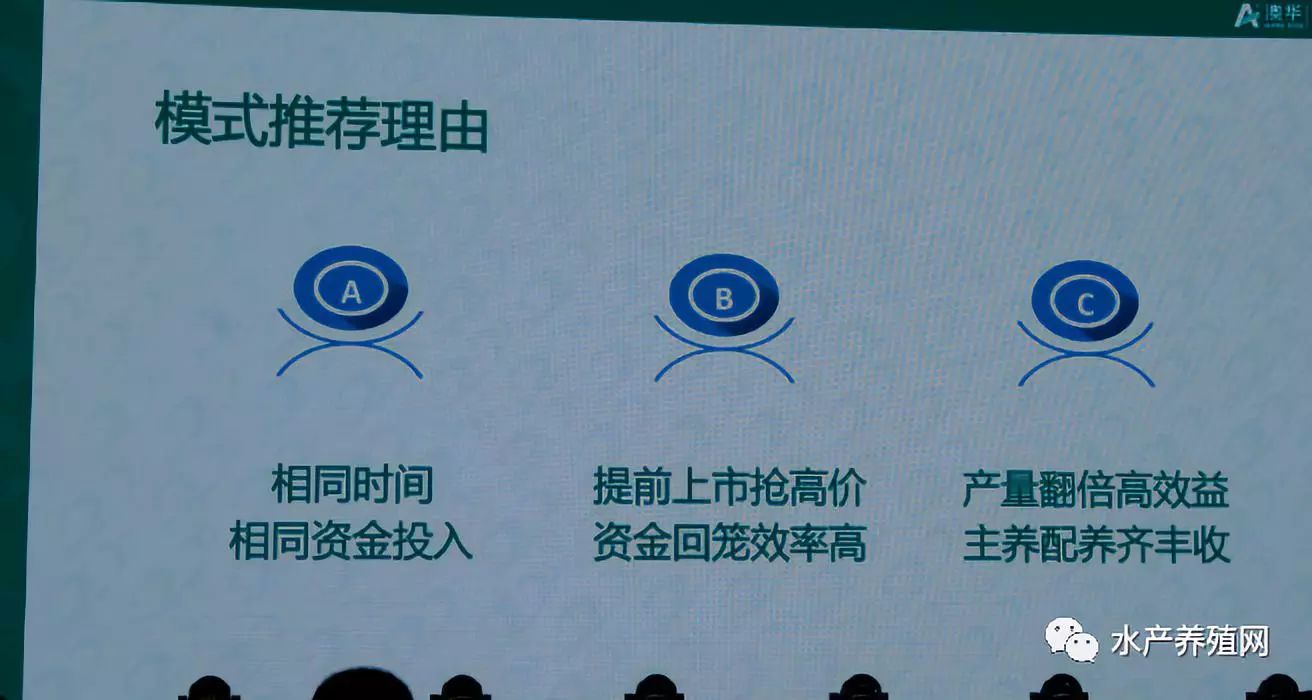 澳华总裁,澳华集团董事长许愿斌