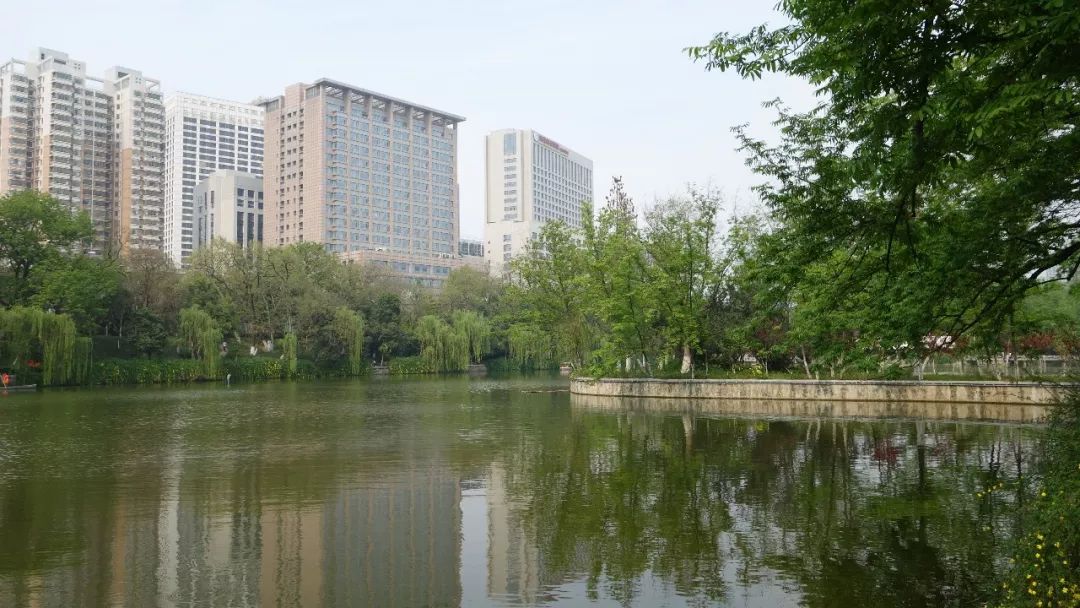 时光游合肥,时光旅行图集