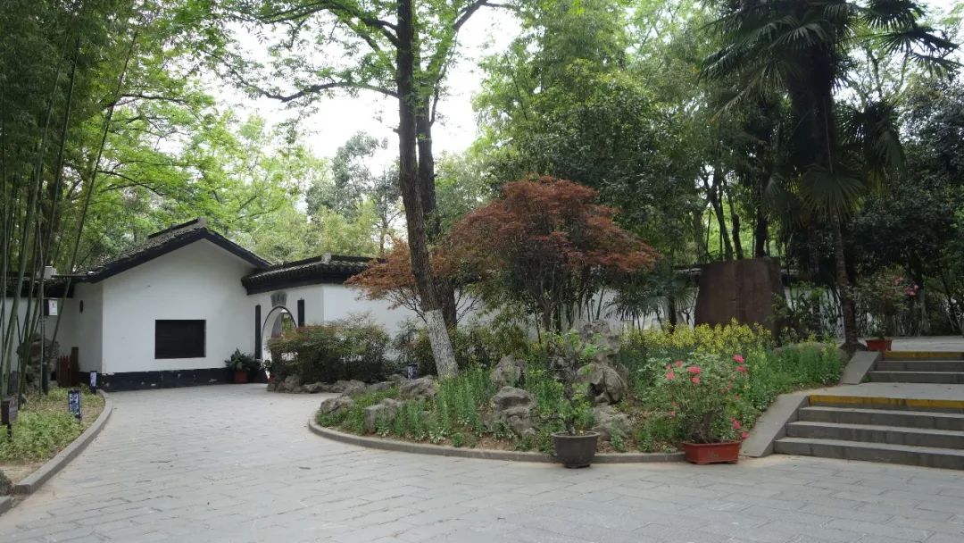 时光游合肥,时光旅行图集