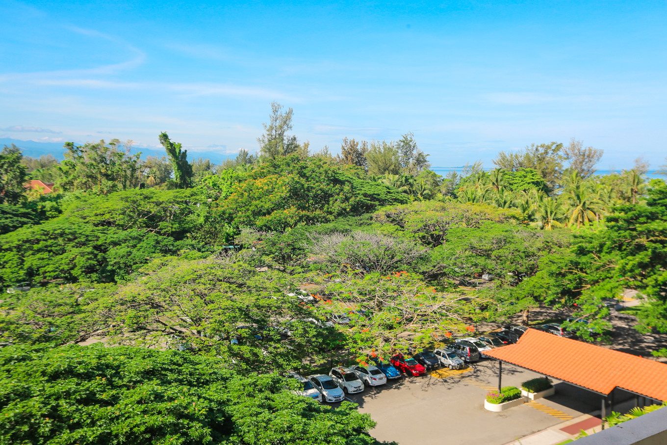 新加坡马来西亚亲子游攻略,马来西亚亲子游自由行旅游攻略