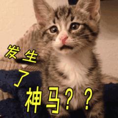 有奖！长治县这个休闲广场命名征集，快来试试