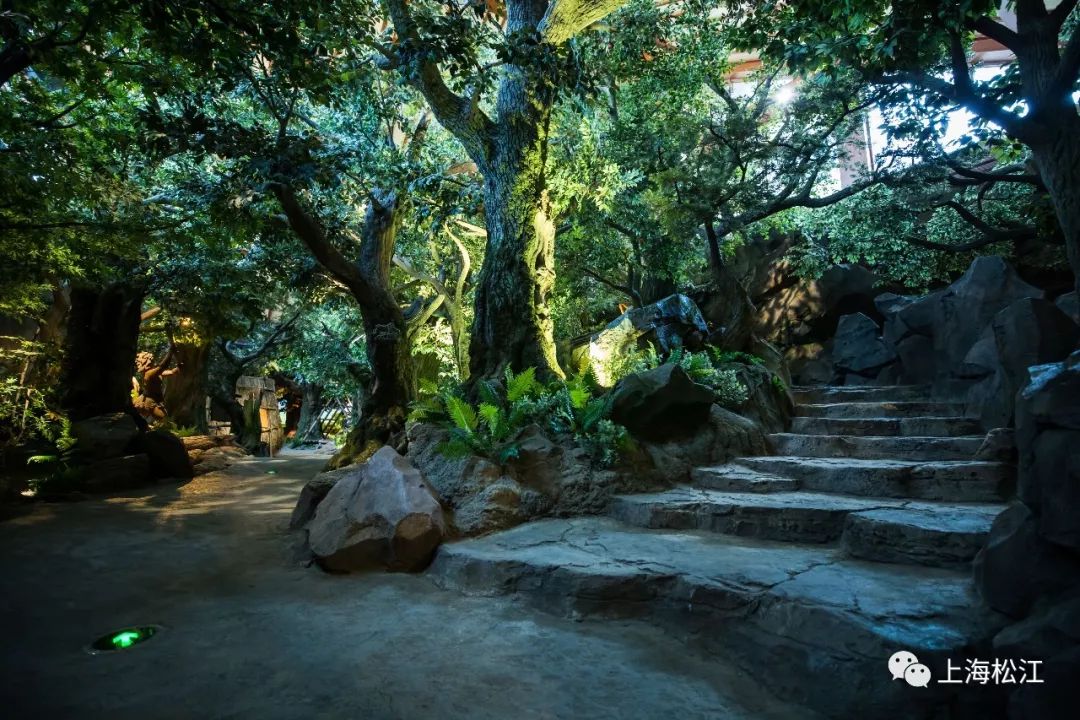 广富林遗址预约门票多少钱,小松探园门票