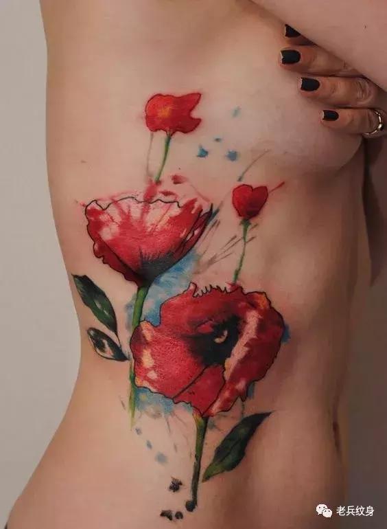 纹身素材视频,纹身素描手稿线条