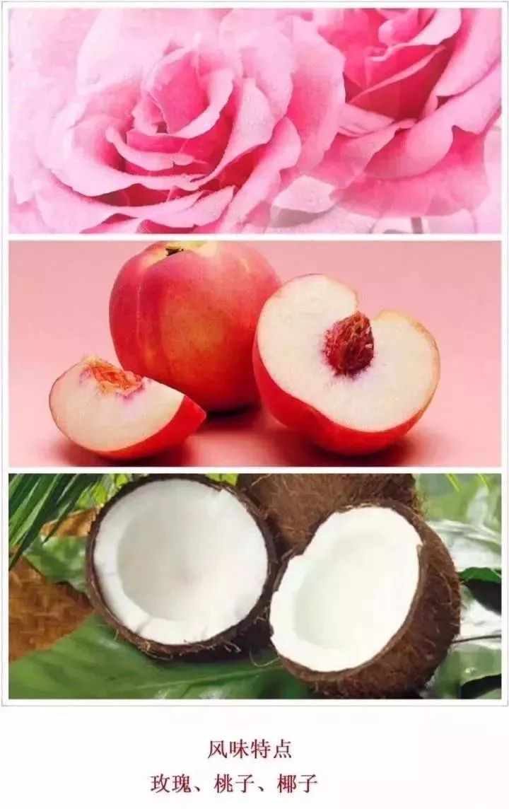 阿根廷外交大使马尔贝克红酒,阿根廷唐大卫红酒