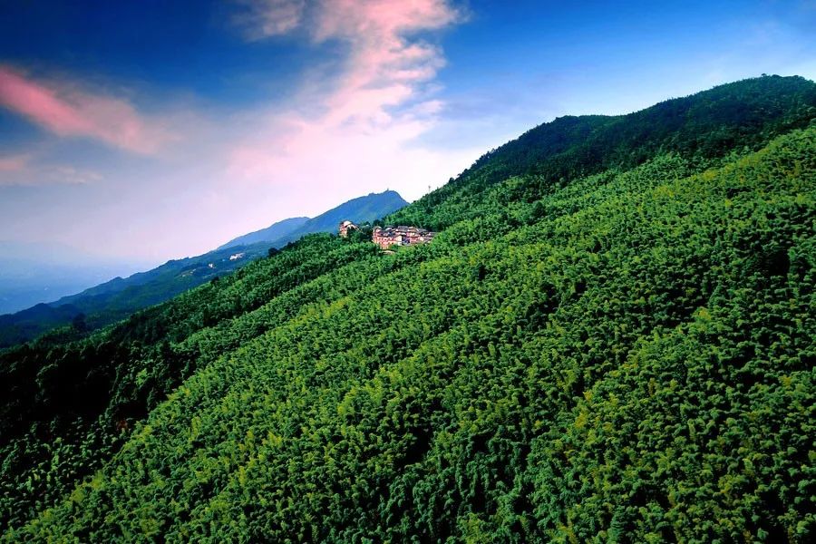 王满:品牌建设正在成为我国林业产业界的重点工作!