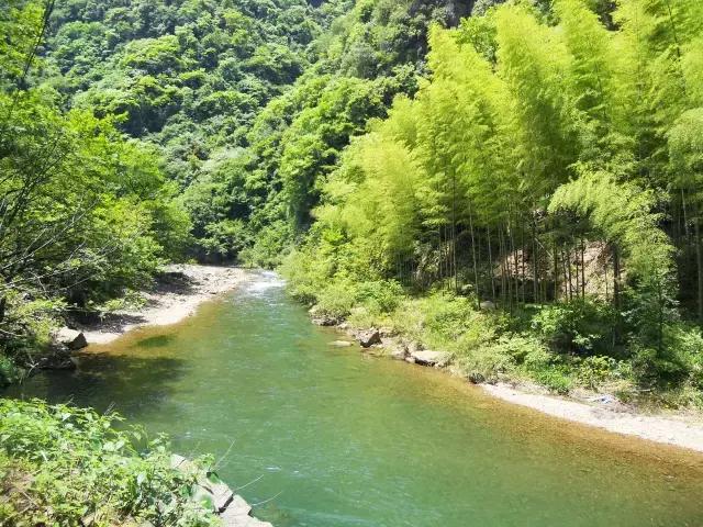 隐居山林依山傍水世外桃源,适合冬天去的民宿莫干山民宿
