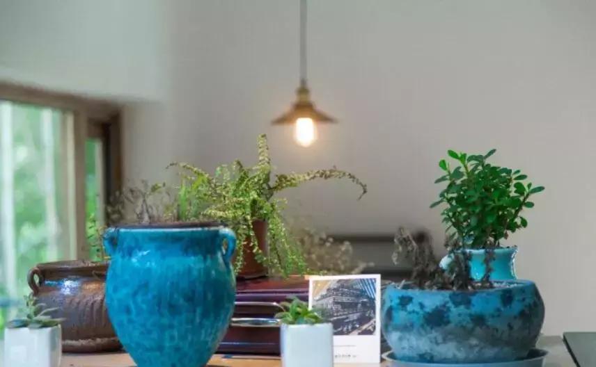 隐居山林依山傍水世外桃源,适合冬天去的民宿莫干山民宿