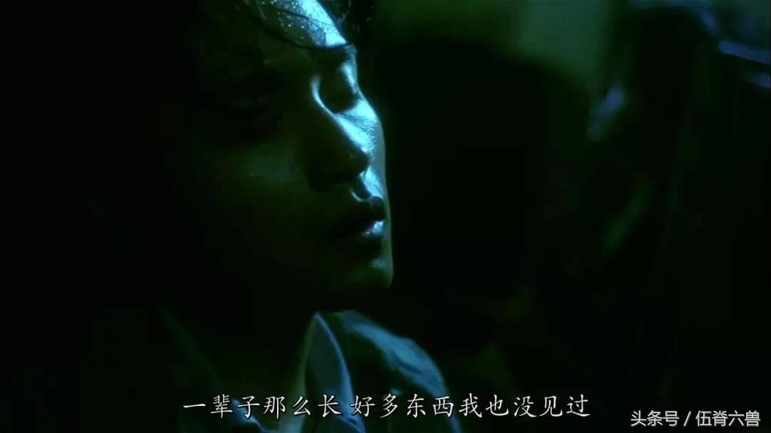 6月25日，再见无脚鸟，再爱一分钟，你是不是读懂了这个阿飞