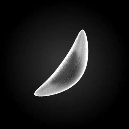 怀孕不能收拾屋子吗,孕期怎么收拾狗狗粪便