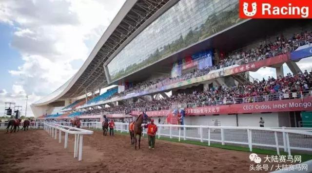 内蒙古伊泰大漠马业在哪里,内蒙古伊泰大漠马业
