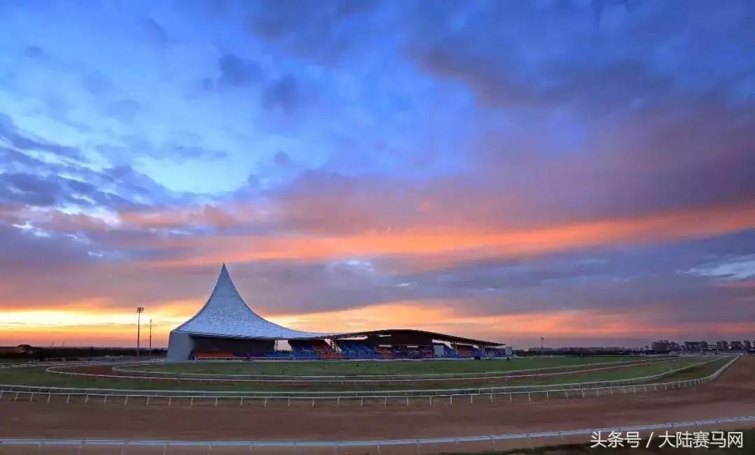 内蒙古伊泰大漠马业在哪里,内蒙古伊泰大漠马业