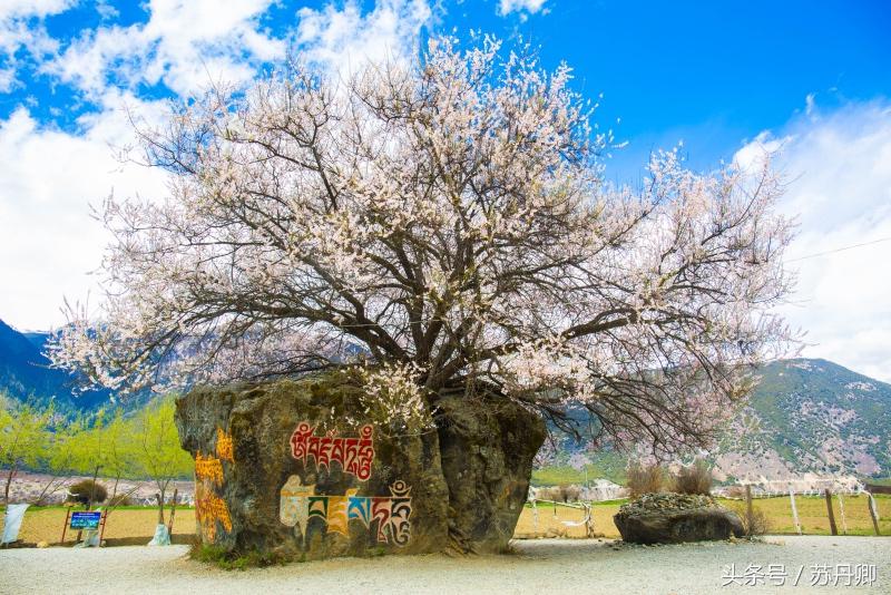 门票都很贵的景点,国内的景点门票越来越贵