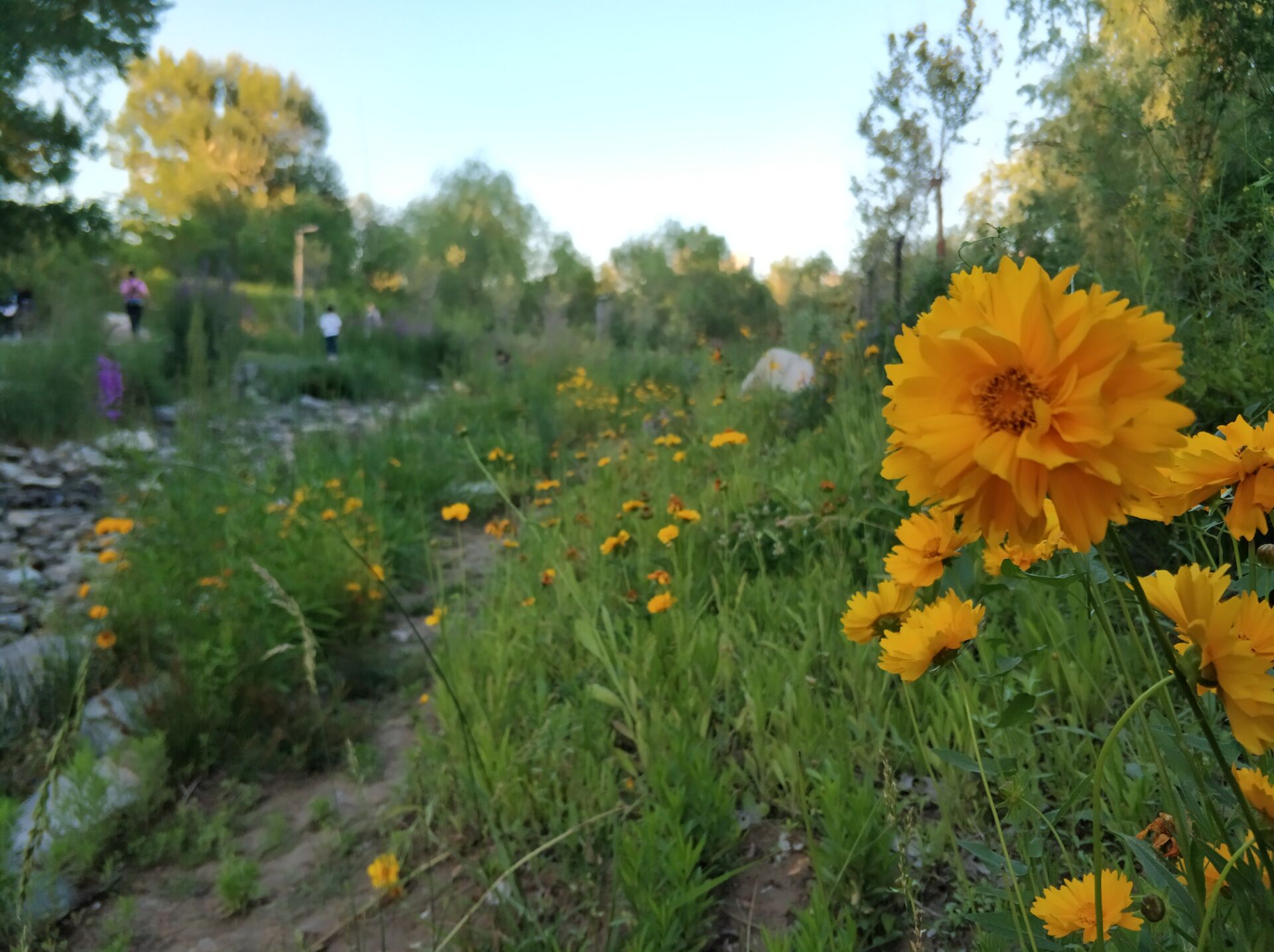 乌鲁木齐南湖公园夜景,乌鲁木齐南湖广场美景图片