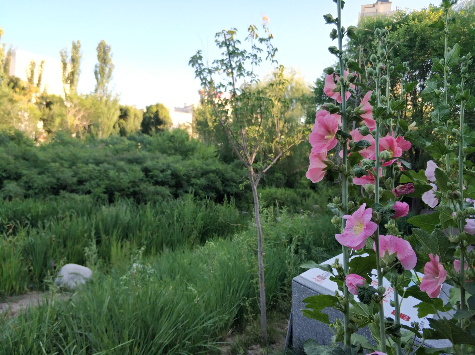 乌鲁木齐南湖公园夜景,乌鲁木齐南湖广场美景图片