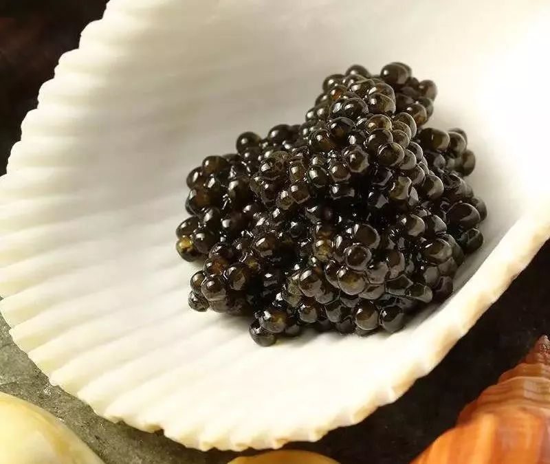 一勺中国的鱼子酱价值多少钱,顶级鱼子酱一口就要上千块