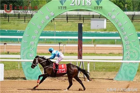 赛马点亮城市新名片：两位双冠王闪耀伊泰大漠“鄂尔多斯金杯”