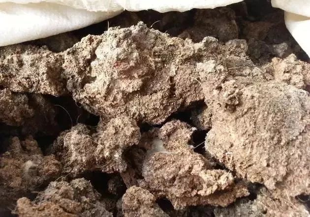 鸡粪羊粪牛粪猪粪哪个有机肥最好,猪粪牛粪羊粪鸡粪养月季哪个更好