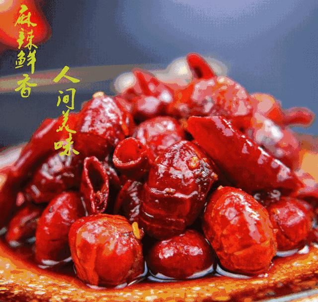 啤酒节东阿阿胶城,东阿啤酒活动