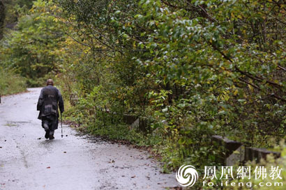 2018高考满分作文250万赞,2018高考满分作文真人版