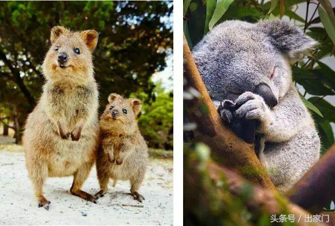 涓栫晫鏉ソ鐪嬪湪鍝効,涓栫晫鏉湡鐨勫ソ鐪嬩箞