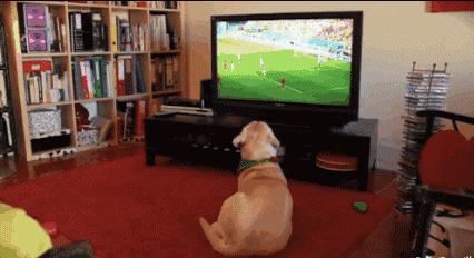 适合6岁孩子的足球训练,培养孩子足球乐趣的视频