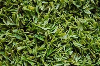 茶香四溢的中国十大名茶,中国最好的10款茶