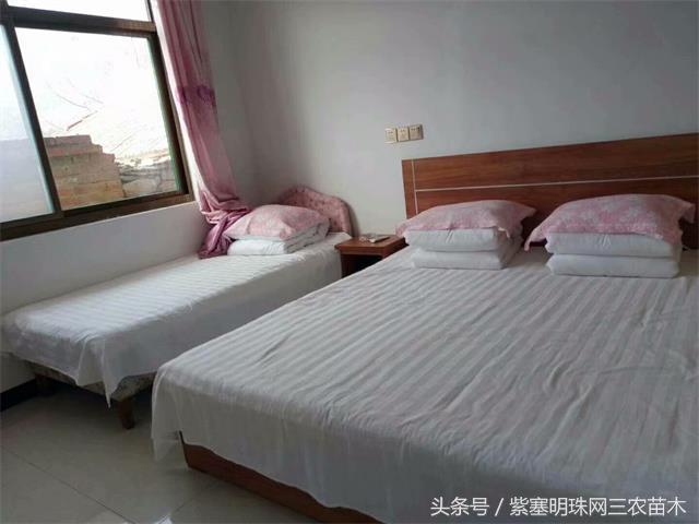 梨木台风景区顺缘农家院,天津蓟县梨木台顺鑫缘农家院