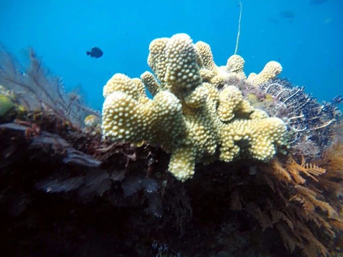 宸村帢宀涘浘鍏板娼滄按浜嬩欢,宸村帢宀涘浘鍏板娼滄按鏀荤暐