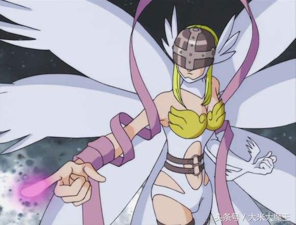 二次元猫知识科普 (二次元各种猫的介绍)