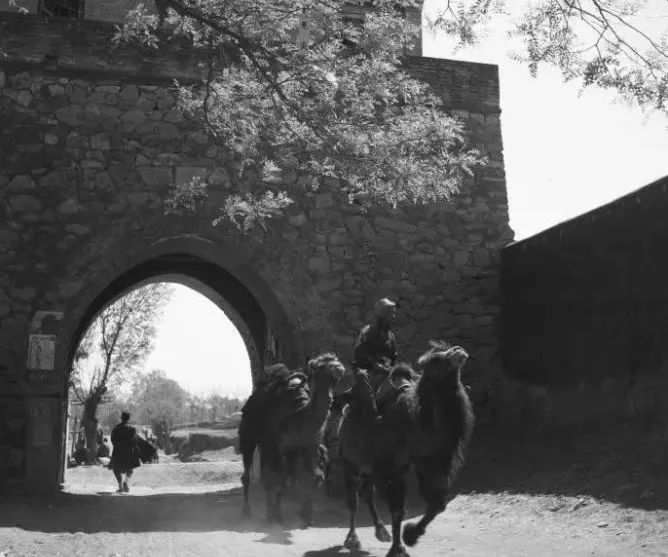 住在东八里庄，曾经很骄傲！现在更骄傲，因为……