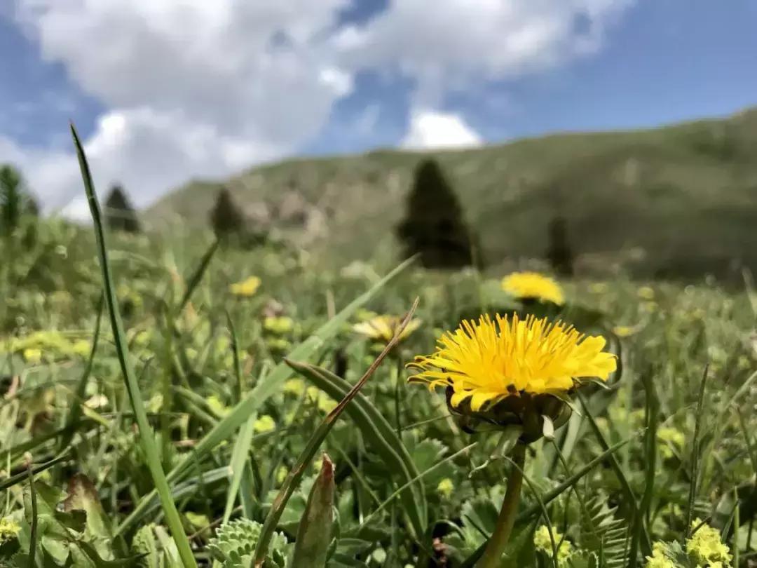 缤智1.5t适合跑新疆吗,缤智车4万多公里