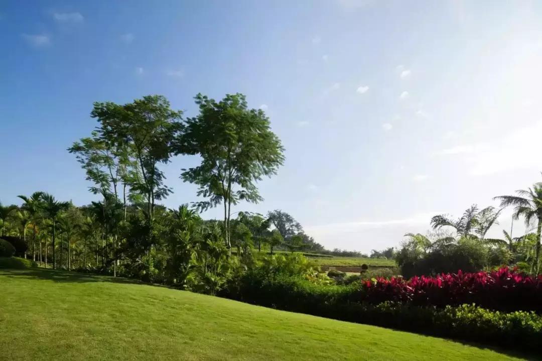 西双版纳著名建筑酒店,西双版纳旅游最美的酒店