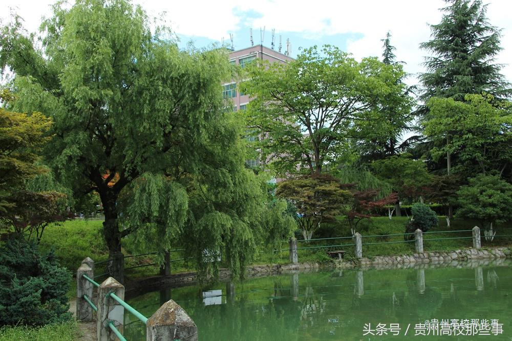 贵州专科报考征集志愿的学校,贵州专科学校何时填报志愿