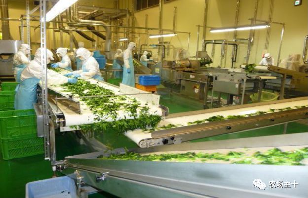 农村建冷库国家补贴政策,想在农村建个冷库需要什么手续