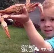 不努力就要继承家业的人,没有努力就得继承家产的明星