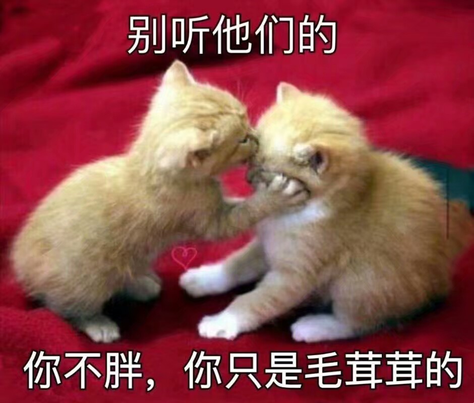 亲测有效的减肥法,低碳减肥法不反弹