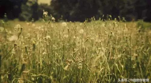 拿不到赛事金牌的运动员,没有拿过国际奥数金牌的数学家