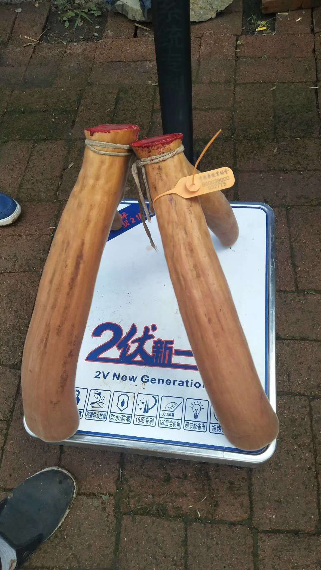 鹿茸认识四大误区,盘点鹿茸的食用禁忌