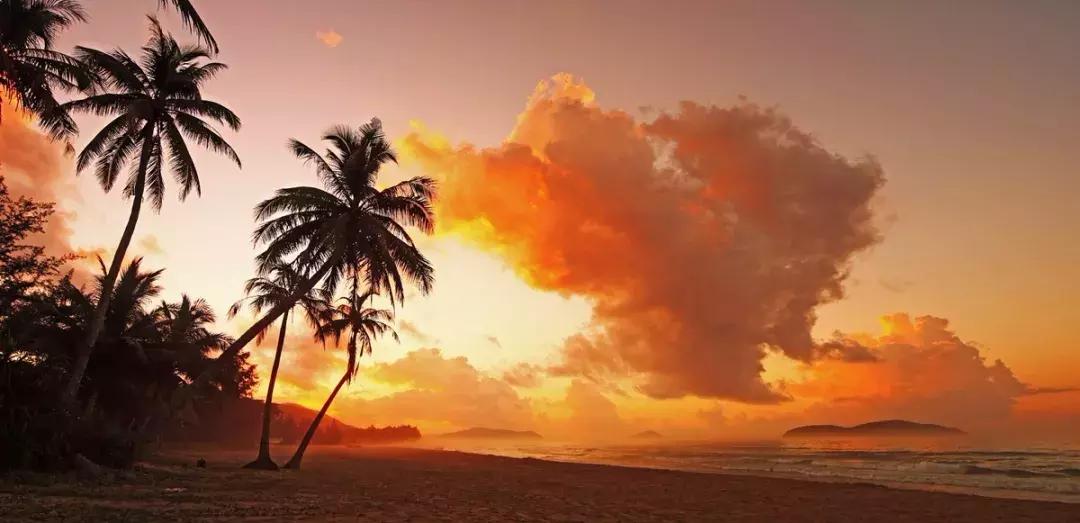 解锁更多惊喜体验,解锁多种体验形式