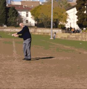 俄罗斯世界杯点评,香蕉球世界杯