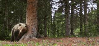 孕妈几个月开始肚皮会发痒,孕期妈妈全身瘙痒