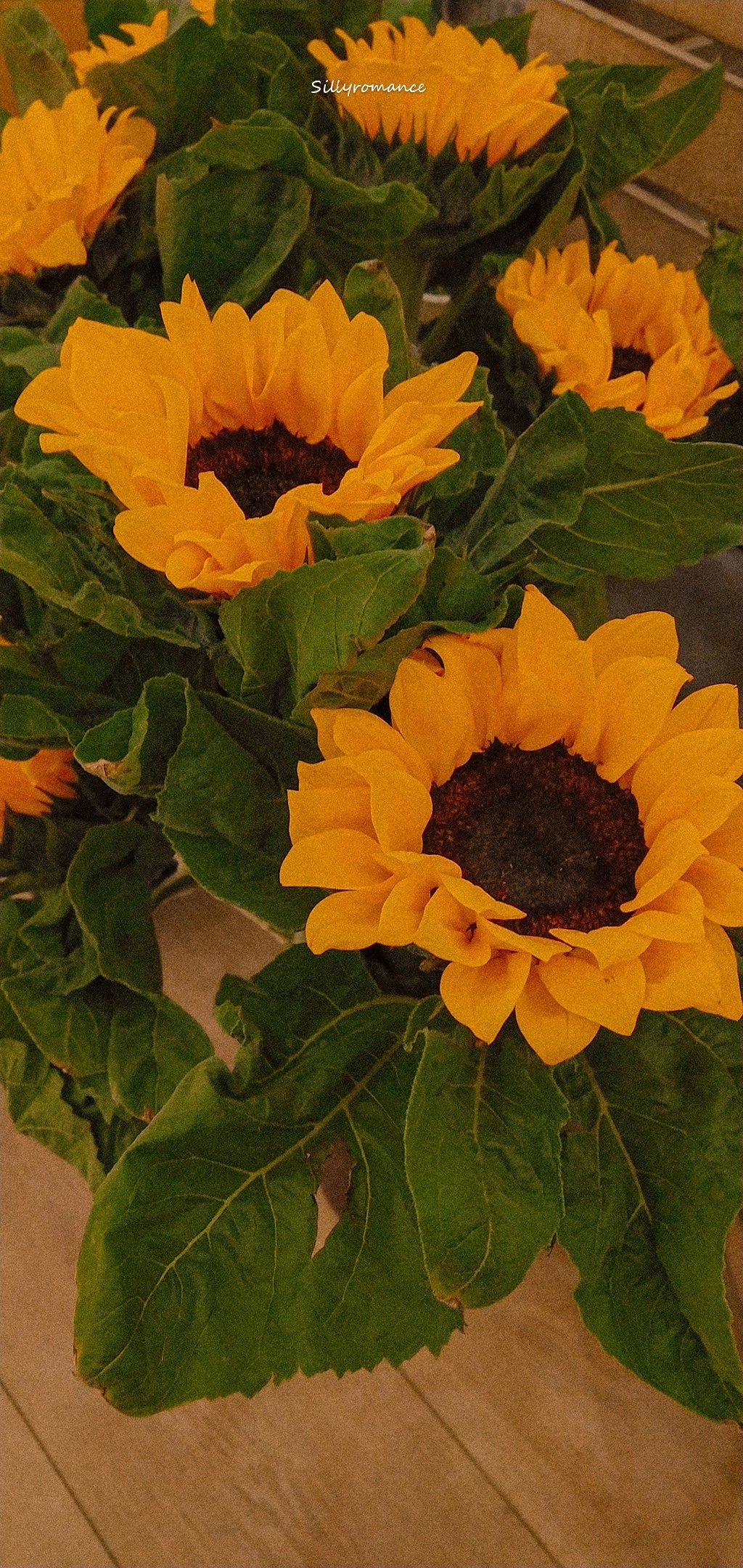 精选壁纸图集第378期,壁纸合集绝对有你喜欢的